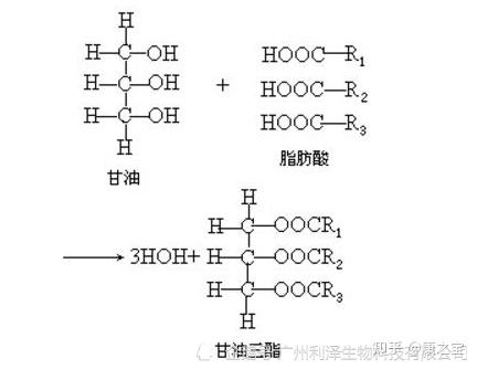 甘油二酯食用油为什么那么贵植物油中天然存在甘油二酯人类为什么现在