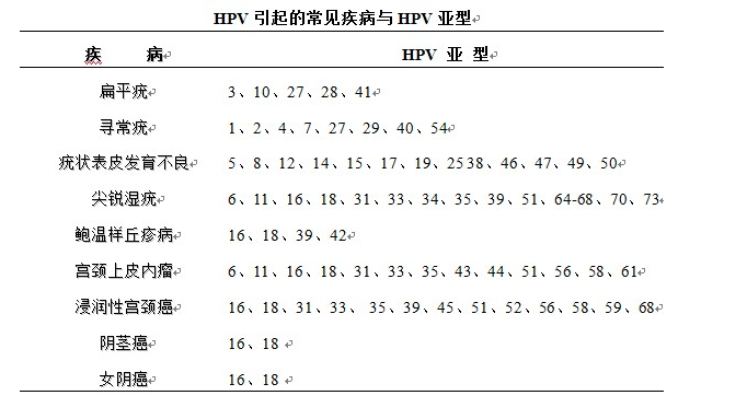 hpv51对男性的危害是什么