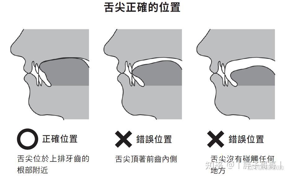 老哥们你们不说话时舌头怎么放嘴里的