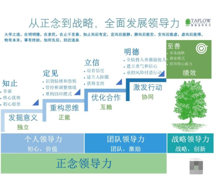 领导力的核心命题我如何让我们拥有共同的成功模式