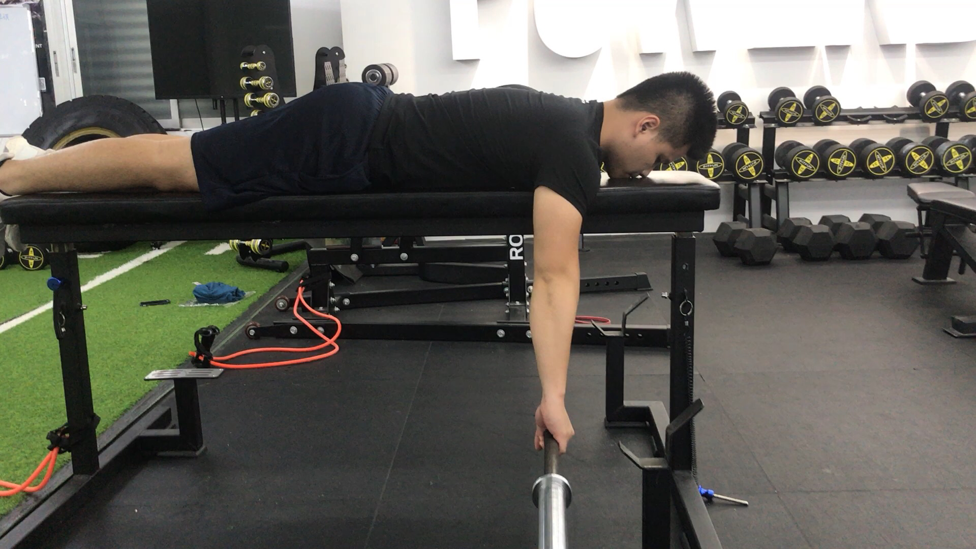 海豹划船,最罕见且价值6个亿的黄金动作