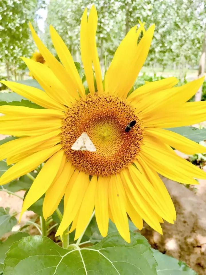 化妆的正确顺序,新手必看!