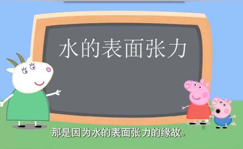 小学科学水的表面张力