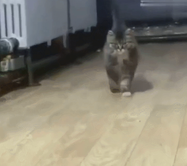 世上5难事,只要肯坚持 100米竞速跑 只要我跑的快 忧愁就追不上我 ▼