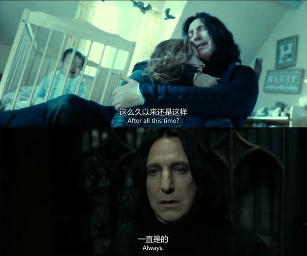 后来伏地魔杀了莉莉,斯内普抱着莉莉痛哭那一幕真是太可怜太感人了.