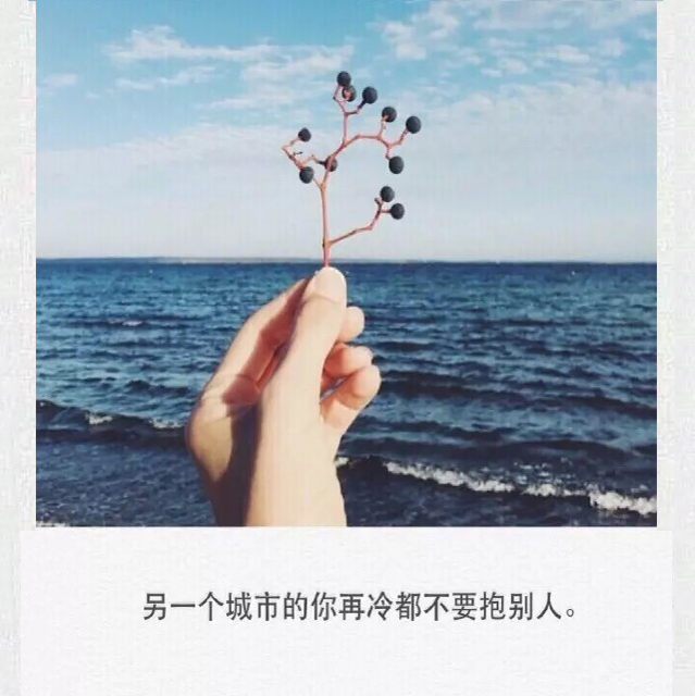 令人惊艳的优美句子,字字精辟