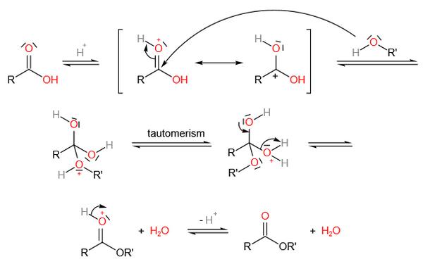 有机人名反应——fischer酯化反应(fischer esterification)