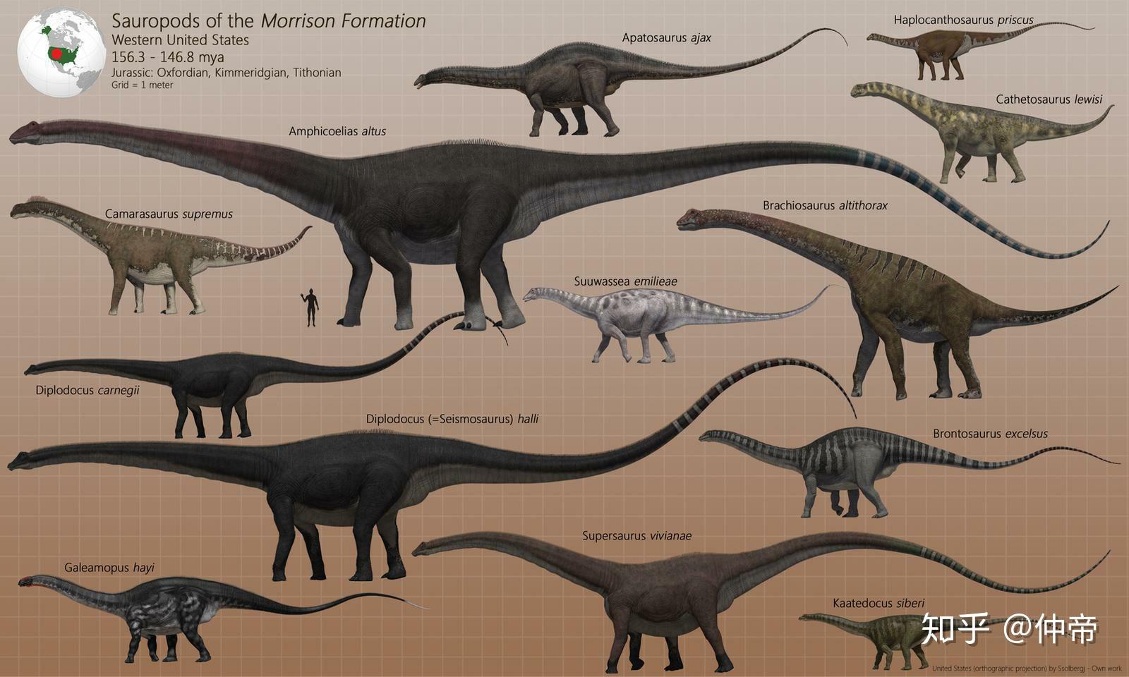 求恐龙大小比例图