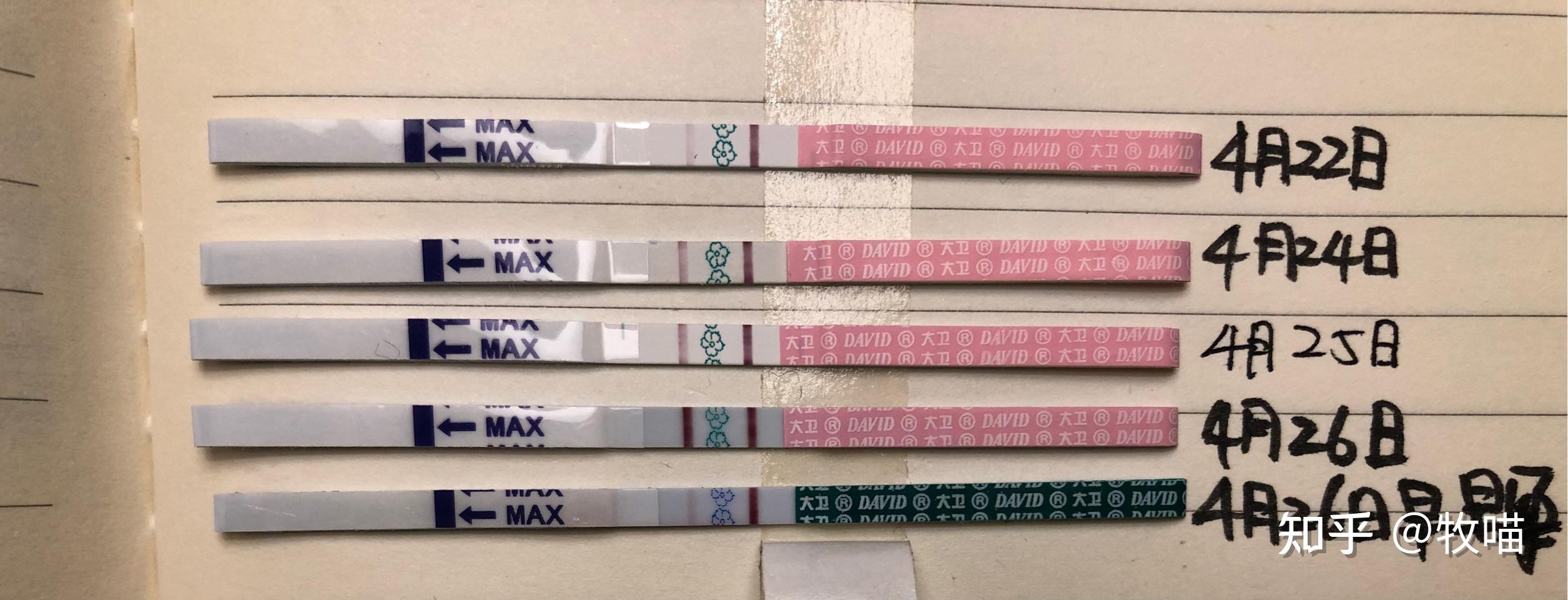 排卵试纸能测到怀孕吗