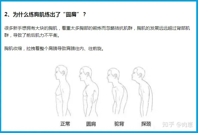 误导性的健身信息三胸背力量失衡导致圆肩含胸