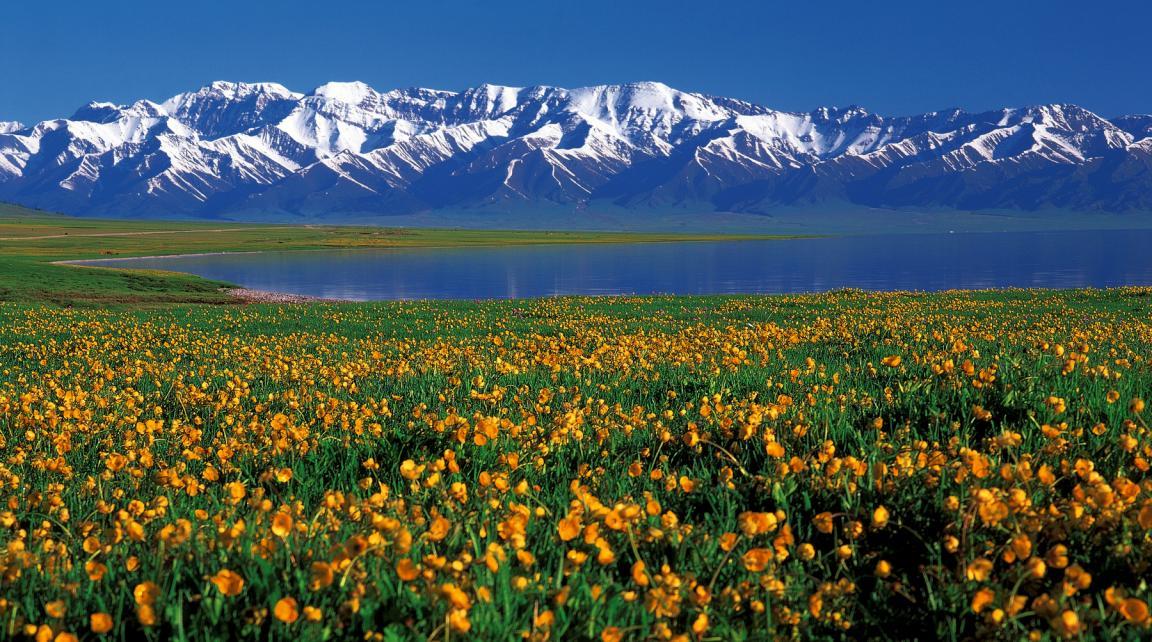 2020年北疆自驾游出游攻略让你眼目一新的最美风景来啦!