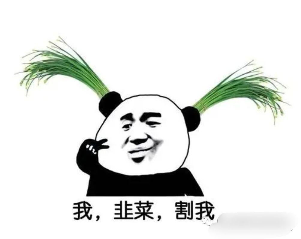 有没有令人印象深刻富有人生意味的表情包