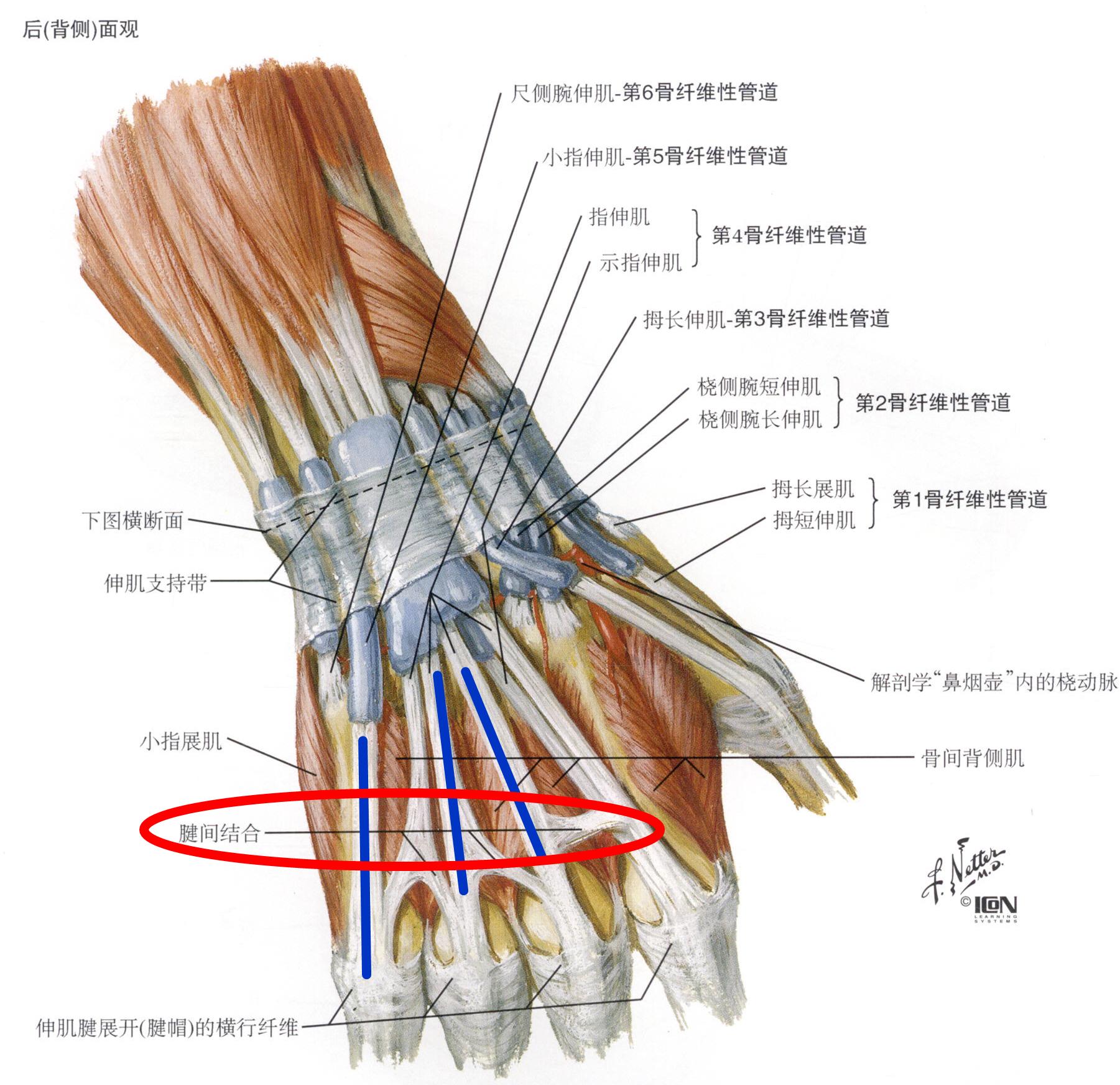 科幻影视剧系列星际迷航中的瓦肯手势真的那么难做吗