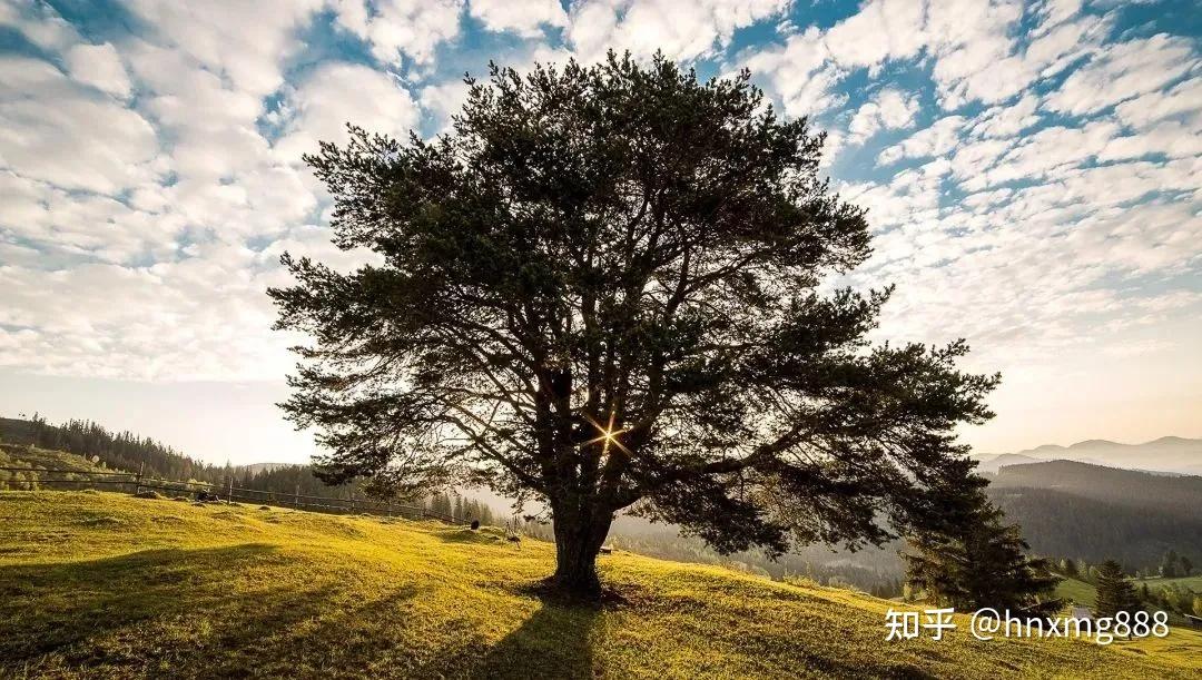 高情商的表现是处事圆滑世故吗