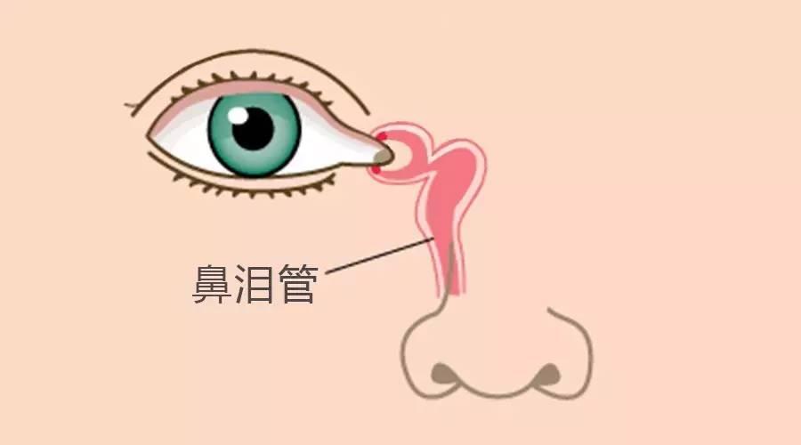 以 避免药物通过鼻泪管吸收而引起全身不良反应.