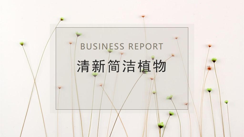 清新简洁小花植物背景ppt模板