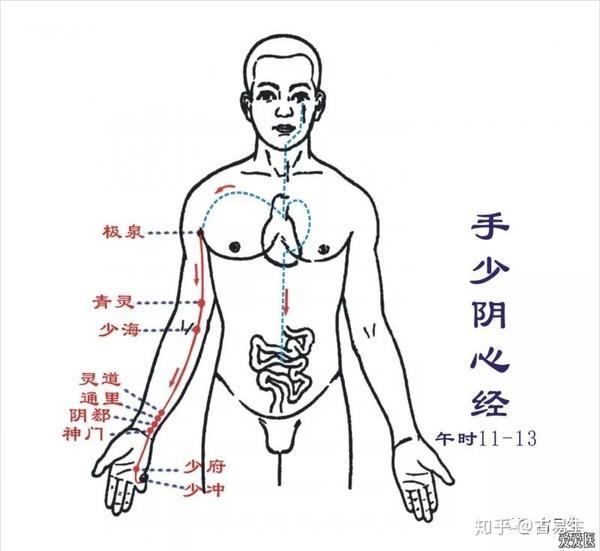 手少阴心经