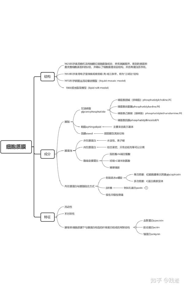 思维导图如下,分为三个部分:结构,成分,特征 1,结构 1925科学家用有