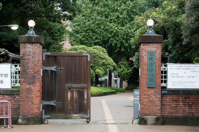 东京艺术大学武藏野音乐大学的学部(本科)分为演奏学科和音乐综合