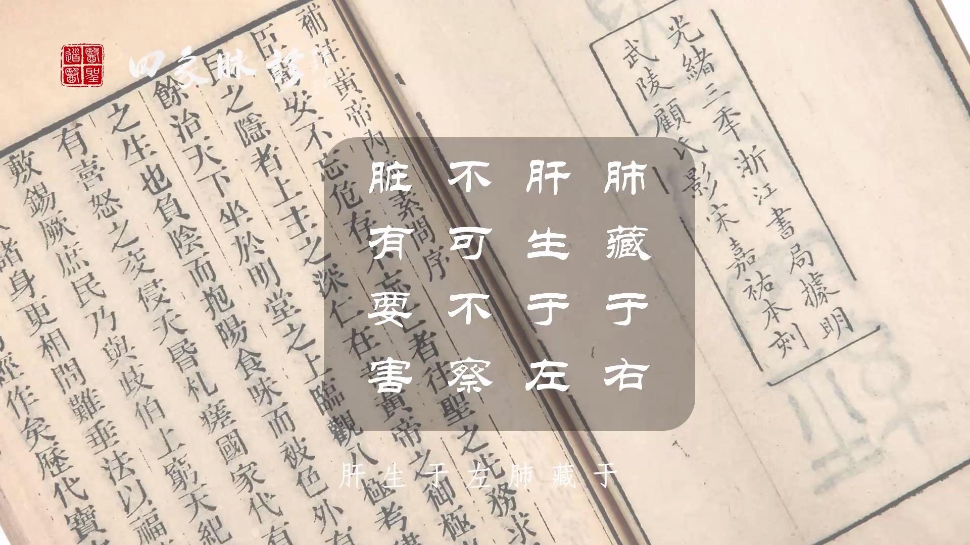 四象脉诊公开课头颈胸背区定位图脏器排列