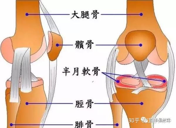 膝盖早上起来有点僵硬疼痛,稍微活动一下又好些,这是什么情况?