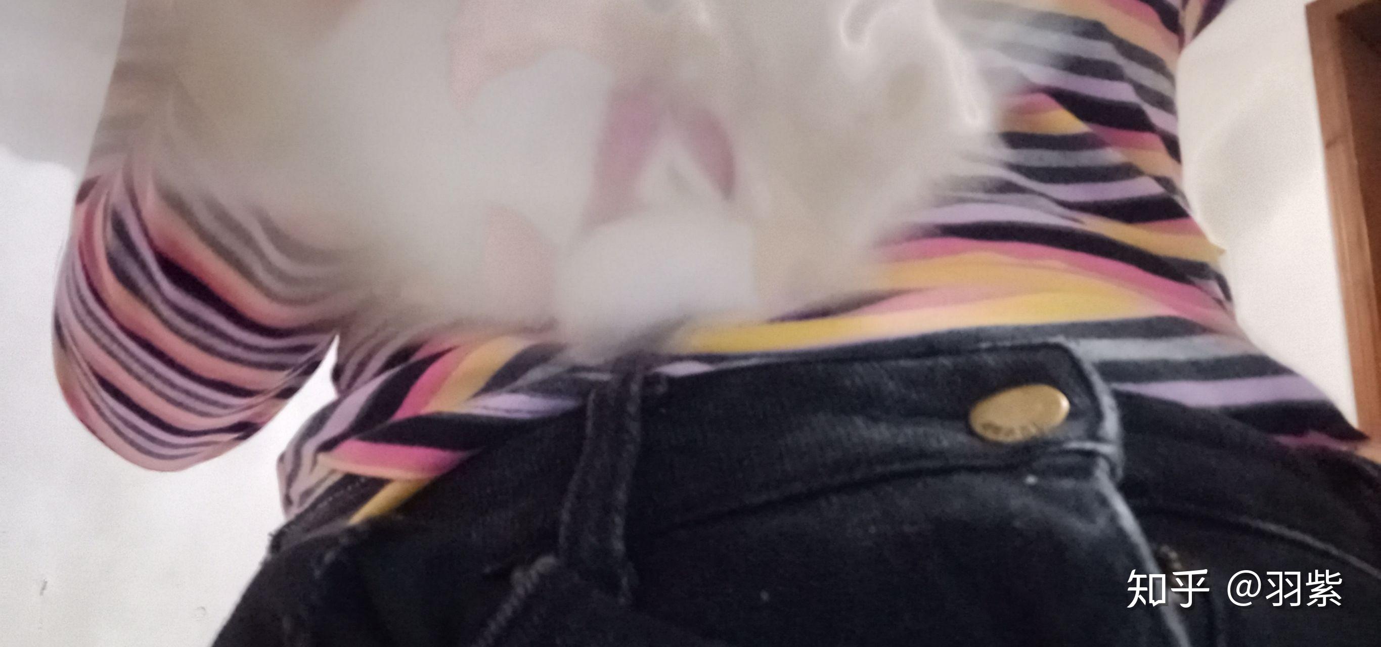 如何区分兔子性别