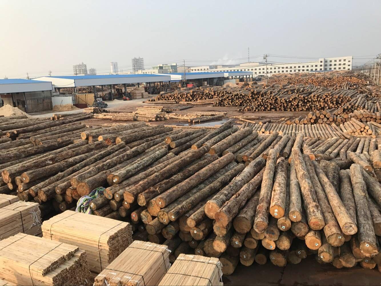正方木业--一个敢于承担社会责任的木材加工厂
