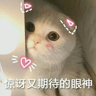 再更几张我最近保存的图叭～ 后来画风就变了哈哈喜欢用沙雕图互怼