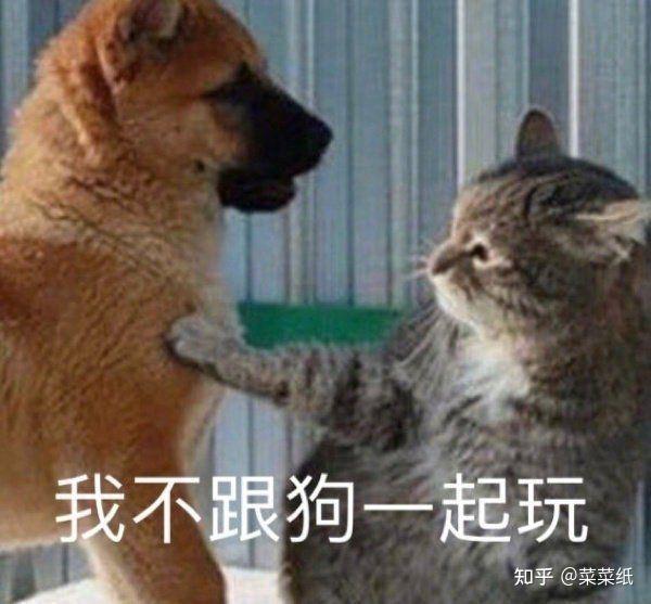 一只手拍猪这个表情包什么意思呢