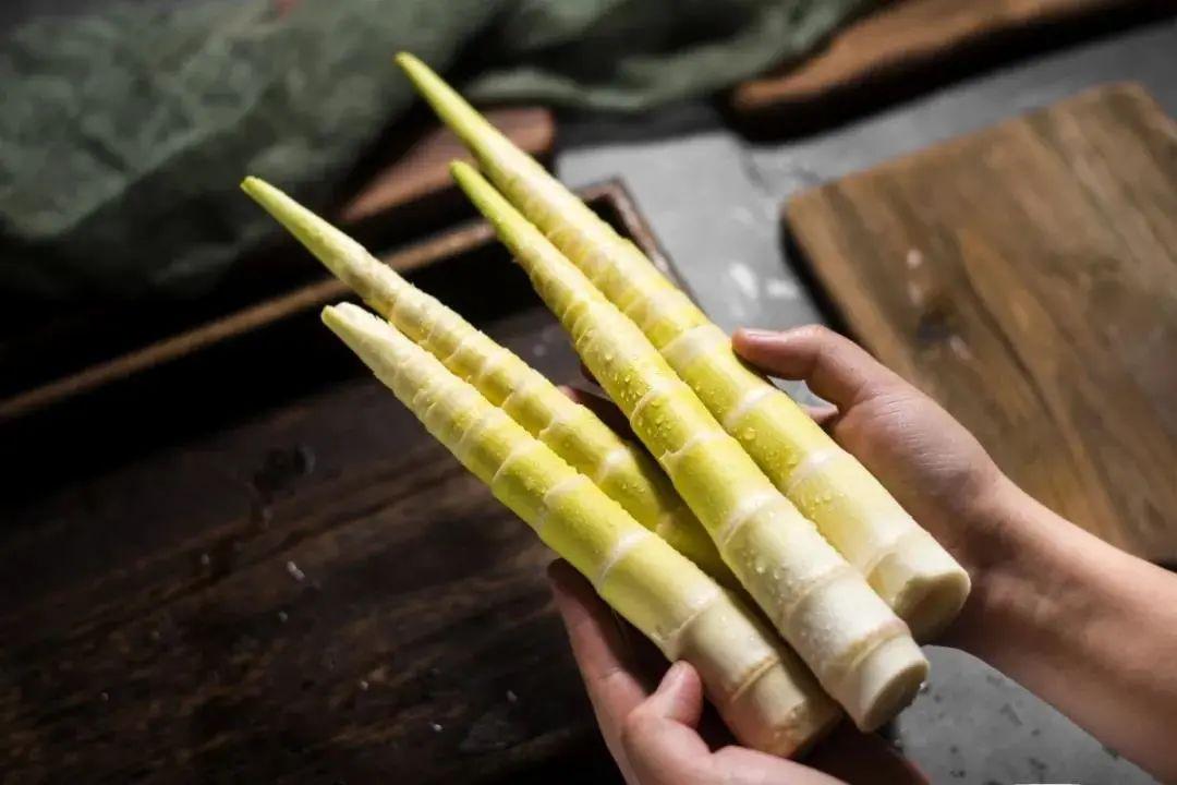 笋农合作社——宁波奉化银龙竹笋专业合