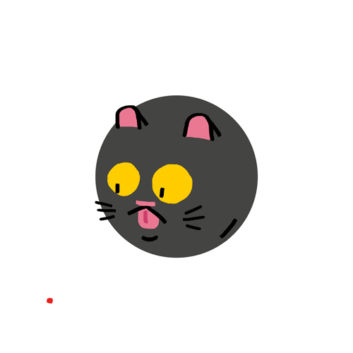 激光笔这种逗猫神器,其实你从来没用对过!