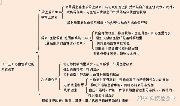 16. 心血管活动的体液调节