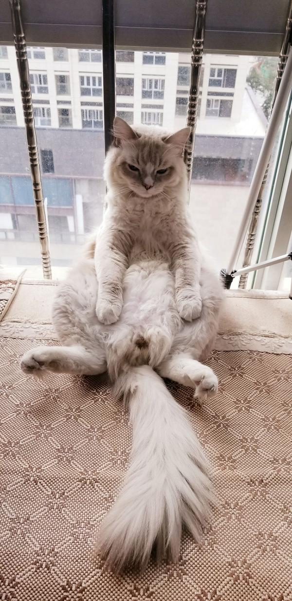 有人和猫在一个屋子睡觉会生病吗?