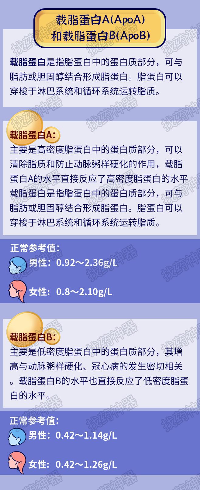 载脂蛋白a高 zhuanlan.zhihu.com