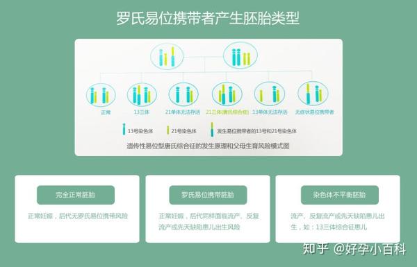 染色体罗氏易位