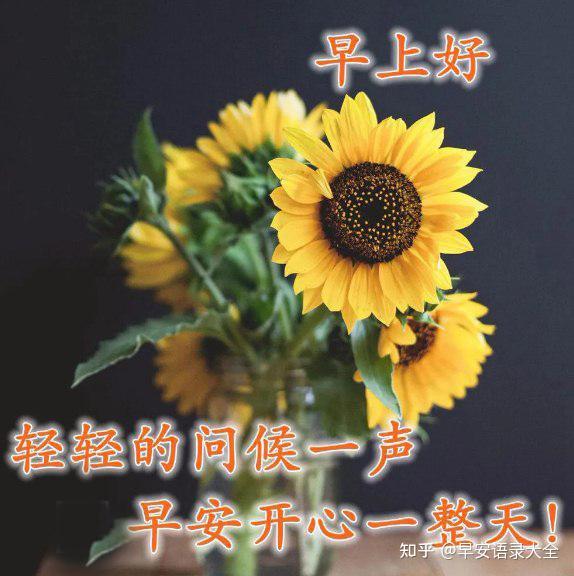 5月29日星期六清晨最新漂亮夏日风景早上好图片带祝福