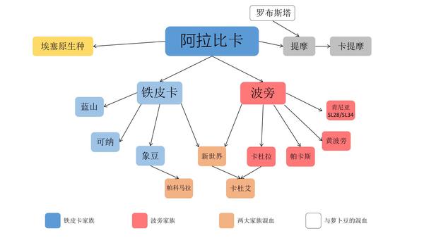 moccona咖啡小课堂一咖啡豆怎么选