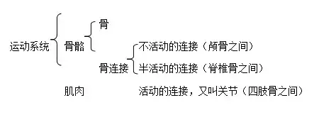 人教版八年级上册生物知识点汇总适合期末考复习