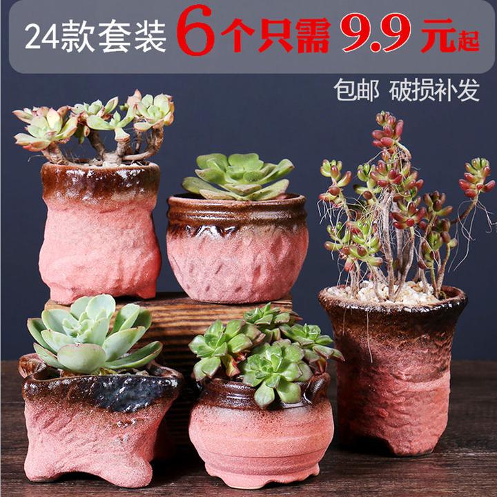 大家喜欢什么样的多肉花盆?