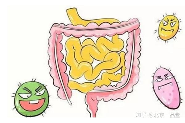 一项研究在100多名重症监护患者中调查了瓜氨酸和肠道脂肪酸结合蛋白