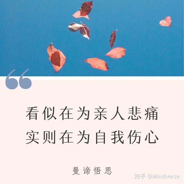 所以,看似我们在为亲人悲痛,实际上我们在为自我伤心.