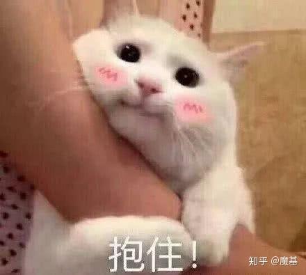 分享完毕～ 毕竟沙雕网友多的还是沙雕表情包 如果能有你喜欢的最好