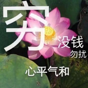 沙雕莲花表情包