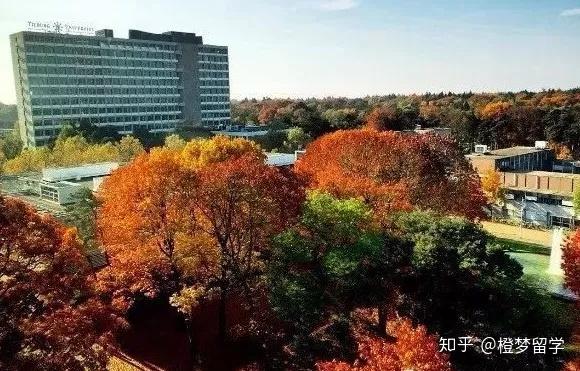 橙梦干货2020版荷兰大学介绍之蒂尔堡大学