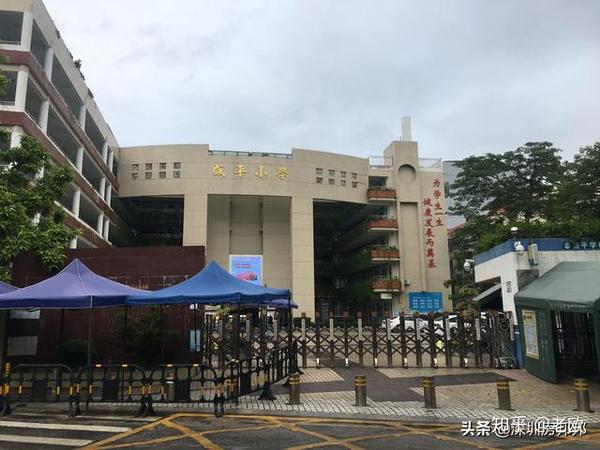 龙城小学创办于1995年,是龙岗区第一所直属小学