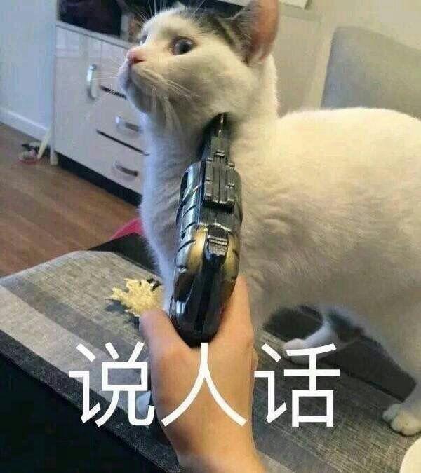 你有哪些压箱底的表情包?