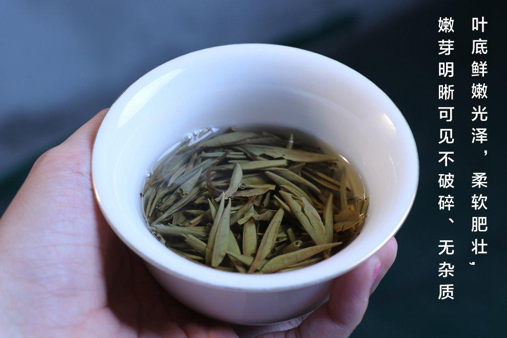 现在三十年的老白茶多少钱一斤,福鼎白茶十年白牡丹多少钱