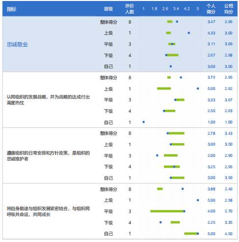 360度评估报告范例解析