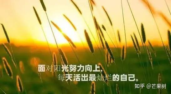 您有哪些特别喜欢的阳光励志句子?