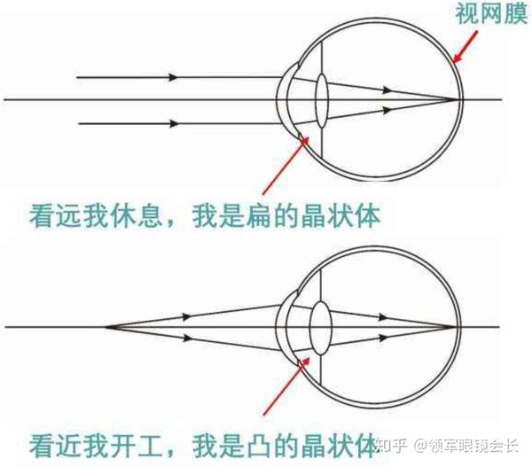 正常人在没有出现老花的时候眼睛看远和看近时候的生理状态